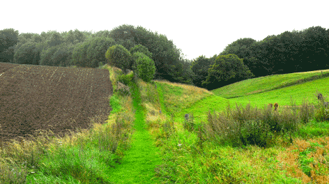 Bjerge – Bestig bjerge